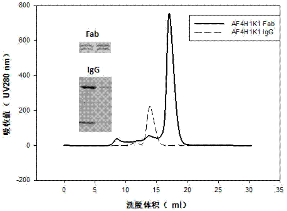 Influenza virus antibody and preparation method and application thereof