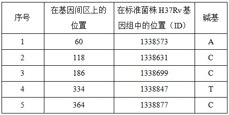 New mutation sites associated with streptomycin resistance in Mycobacterium tuberculosis and their applications