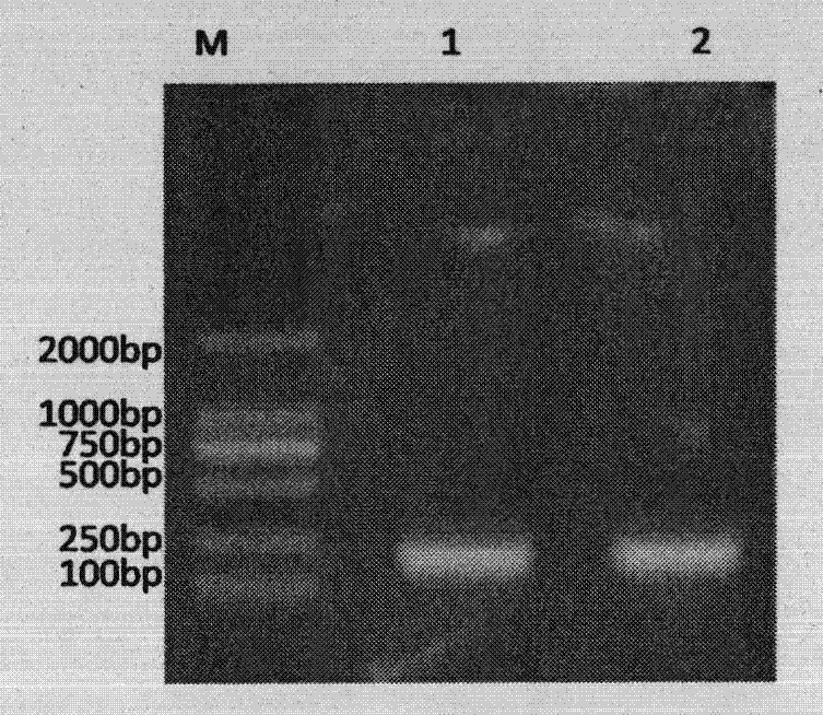 Novel preparation method for recombinant human epidermal growth factor