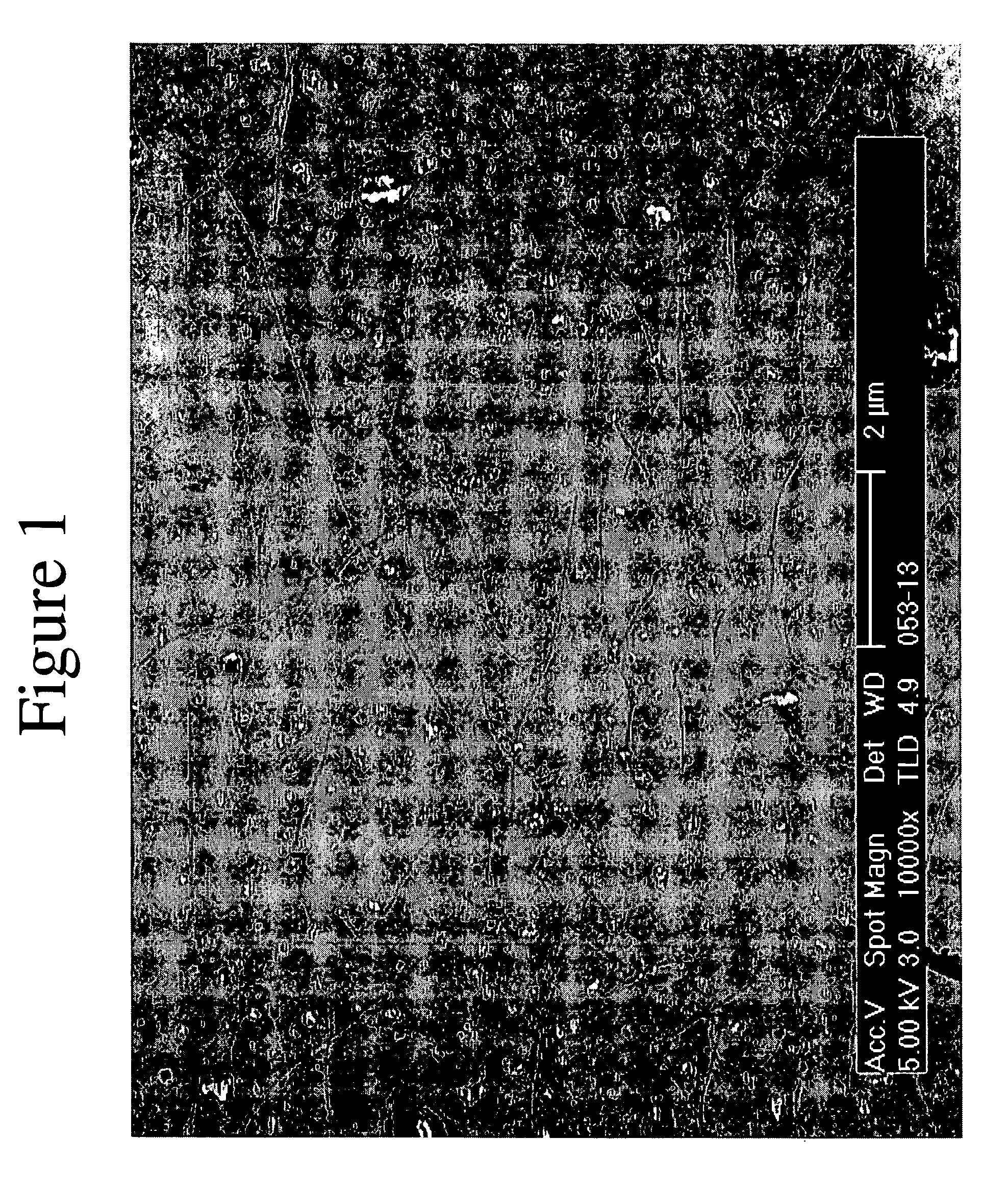 Applicator liquid containing ethyl lactate for preparation of nanotube films