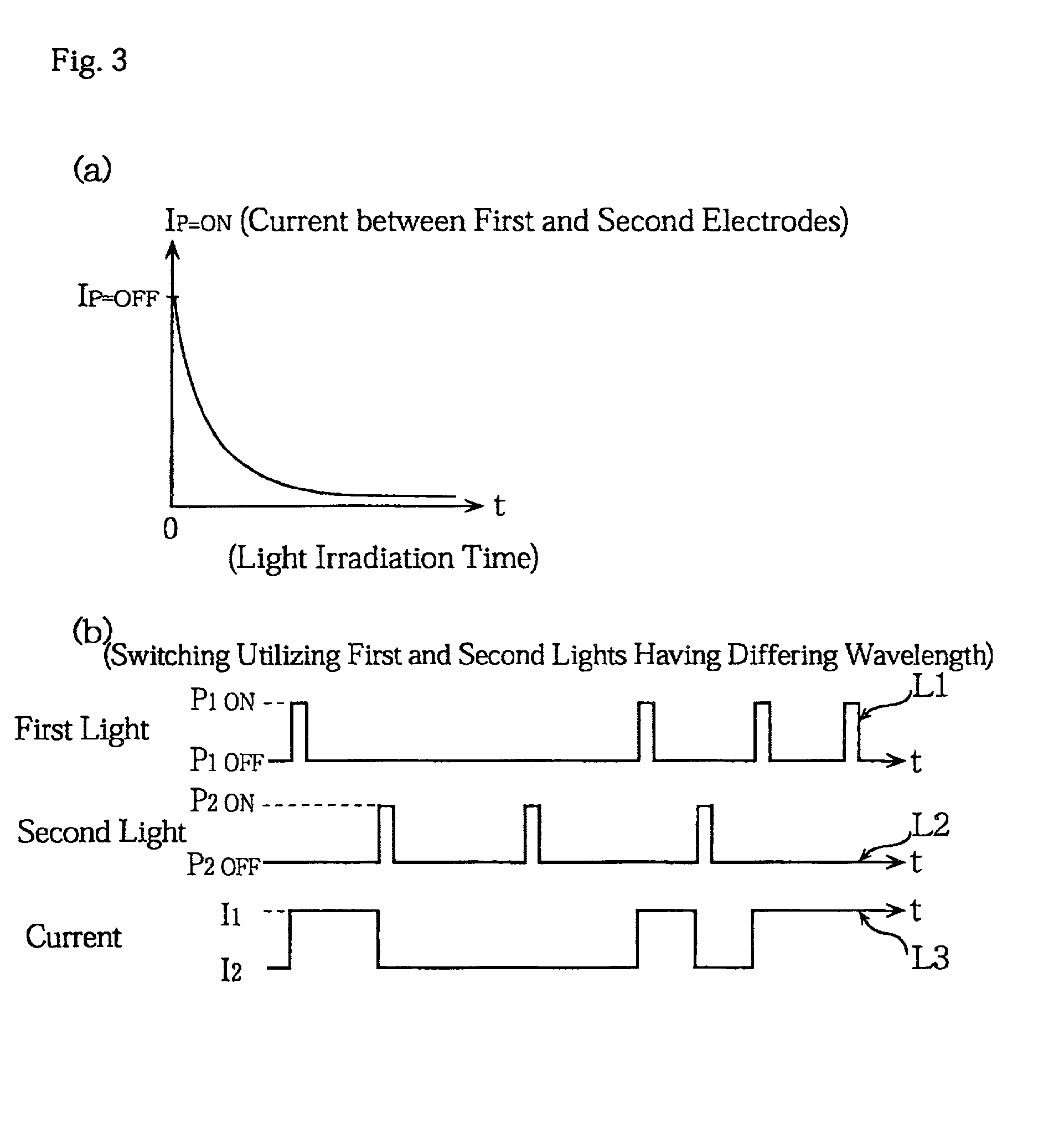 Display device with organic conductive thin film having conductive network