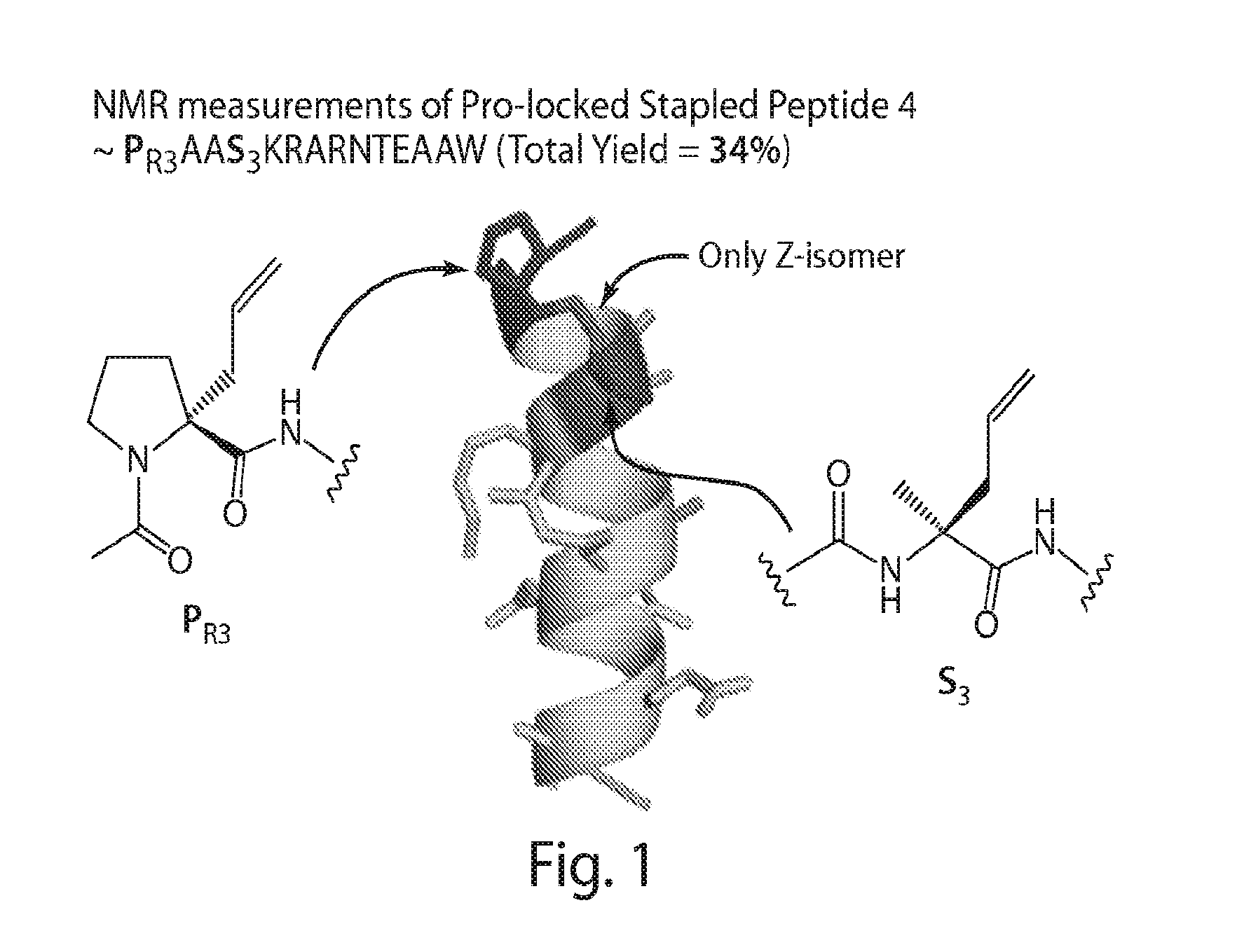 Proline-locked stapled peptides and uses thereof