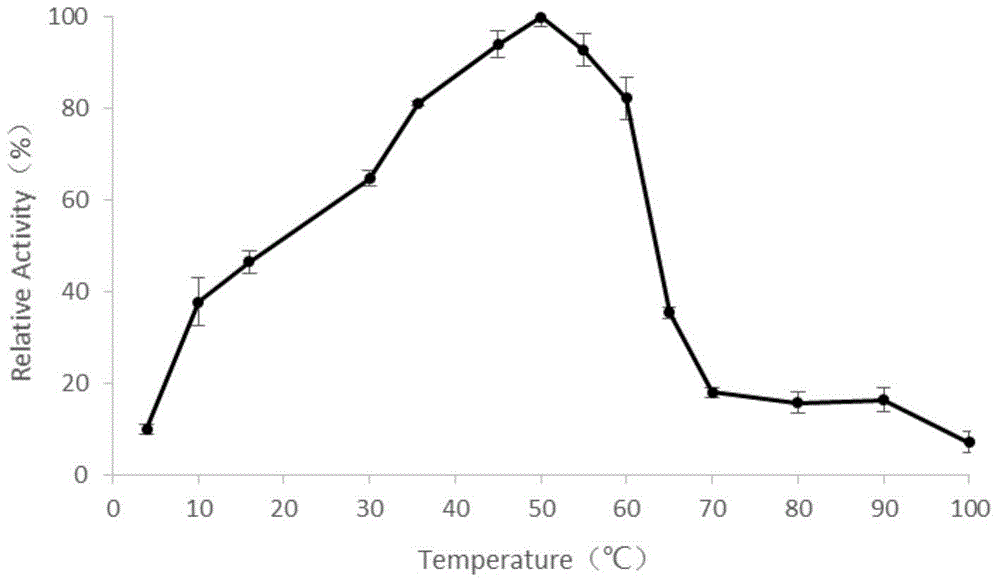 Novel alpha-amylase and application thereof