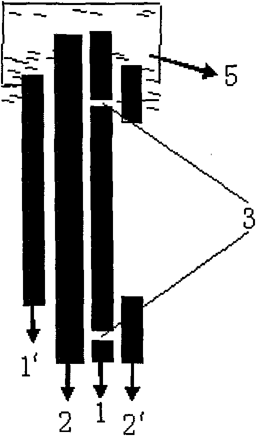 Double-sided flexible printed circuit board with ACP conductive adhesive being printed thereon