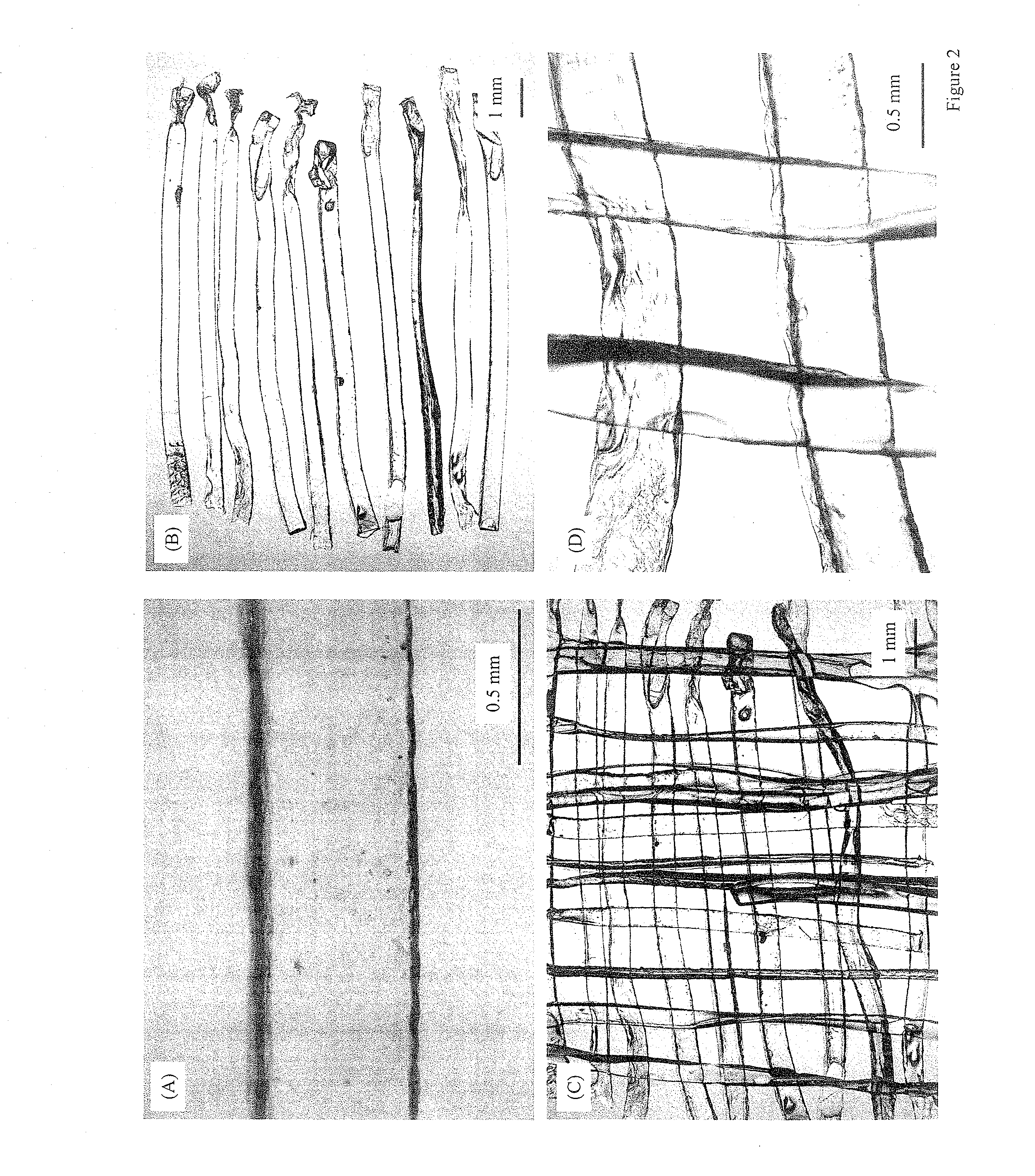 Three Dimensional Cell Protector/Pore Architecture Formation for Bone and Tissue Constructs