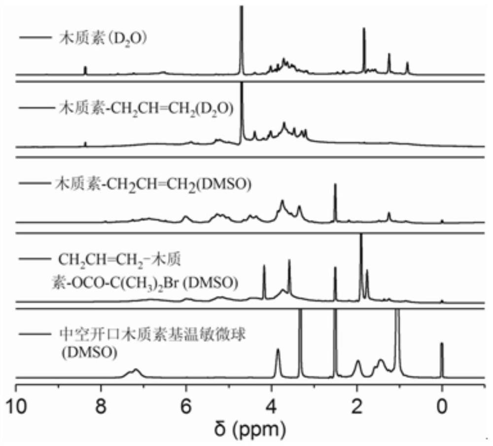 Hollow open lignin-based temperature-sensitive microsphere as well as preparation method and application thereof