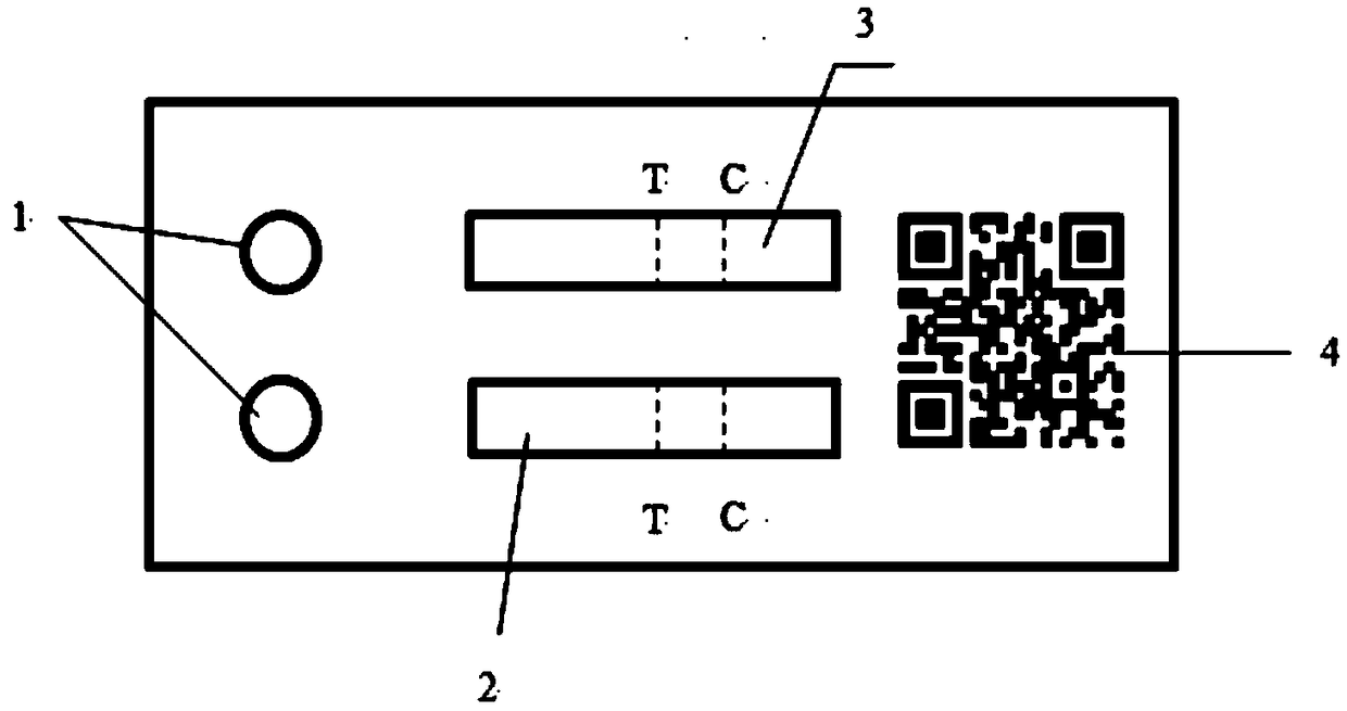 An encrypted lateral flow chromatography detection card and detection method