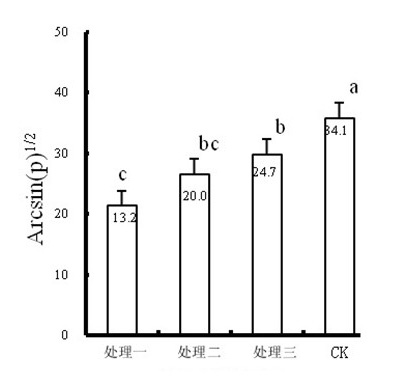 Microorganism compound bactericide for controlling cucumber fusarium wilt and preparation method thereof