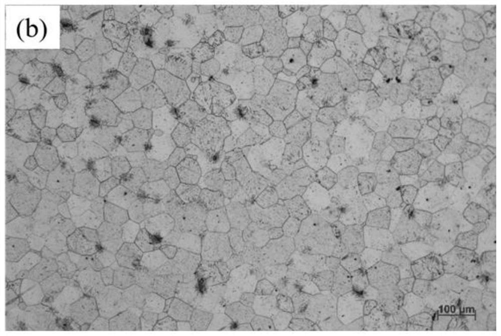 A Grain Refinement Method for Large Size Semi-continuous Casting Magnesium Alloy Ingots