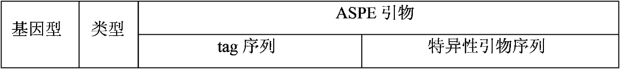 CDKN1B gene mutation detection specific primers and liquid chip