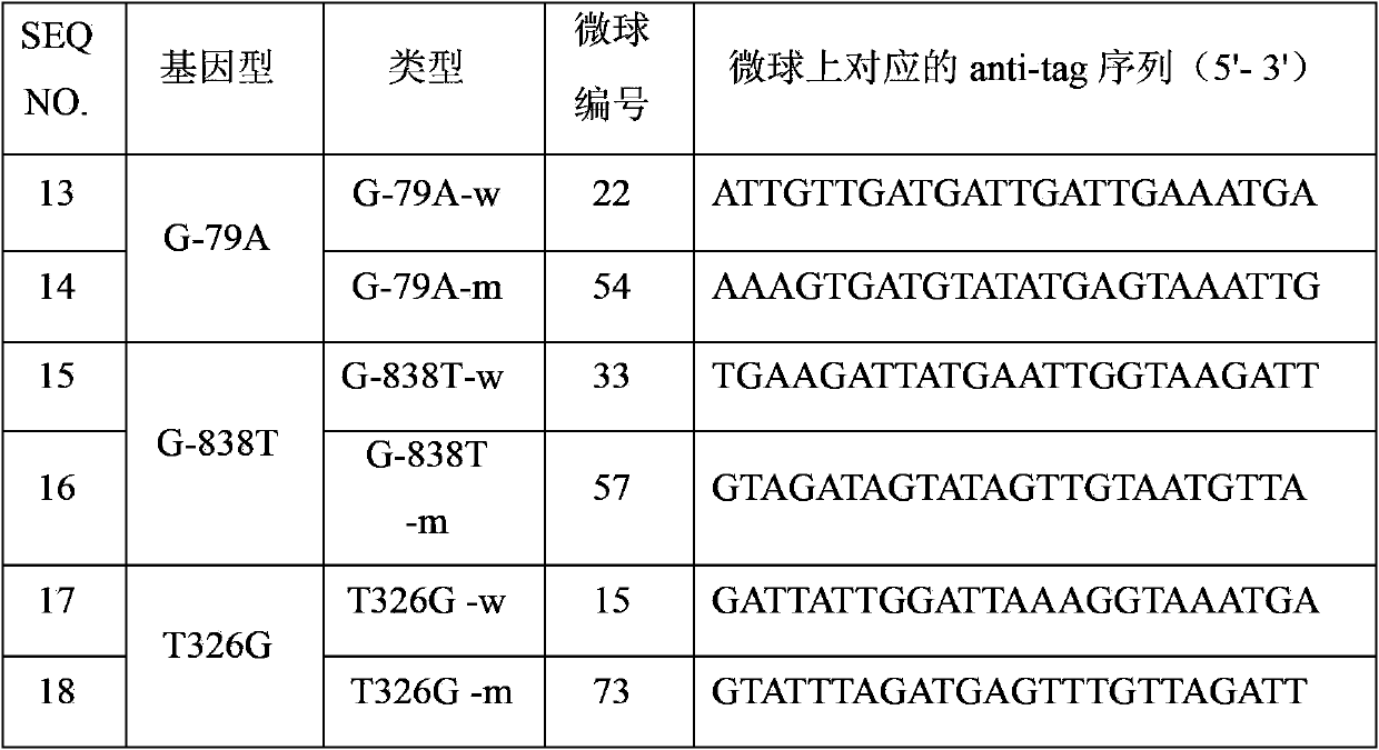 CDKN1B gene mutation detection specific primers and liquid chip