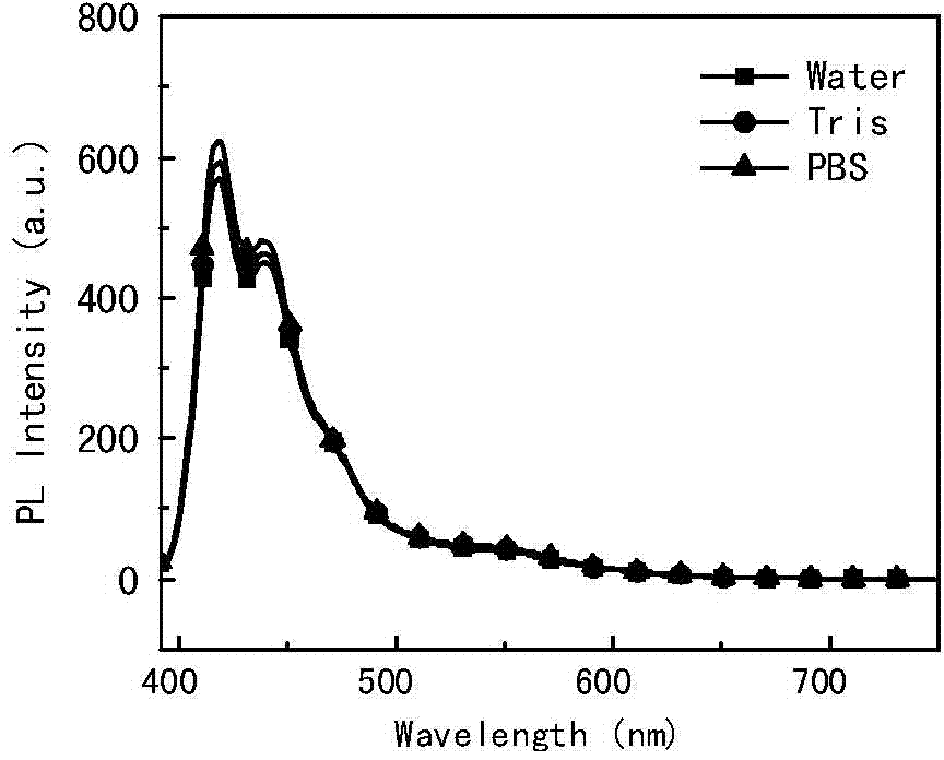 Non-labeled ionic conjugated polyelectrolyte, synthetic method thereof and application to biological detection