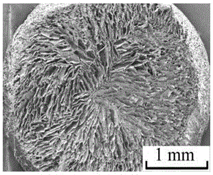 Hyaluronic acid/polylactic acid-glycollic acid copolymer composite cartilage repair material with radial orientation pore structure and preparation method thereof