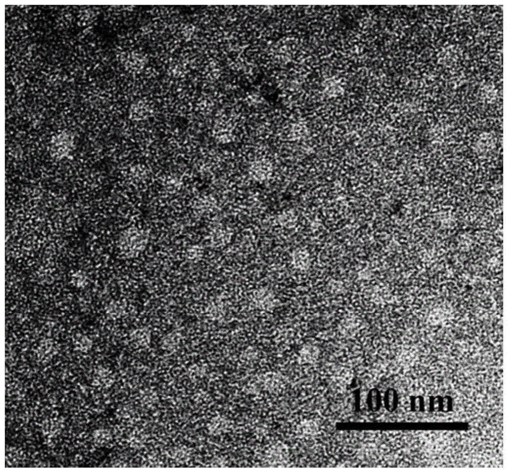 Preparation method of polysaccharide-based nanometer particles sensitive to tumor microenvironments