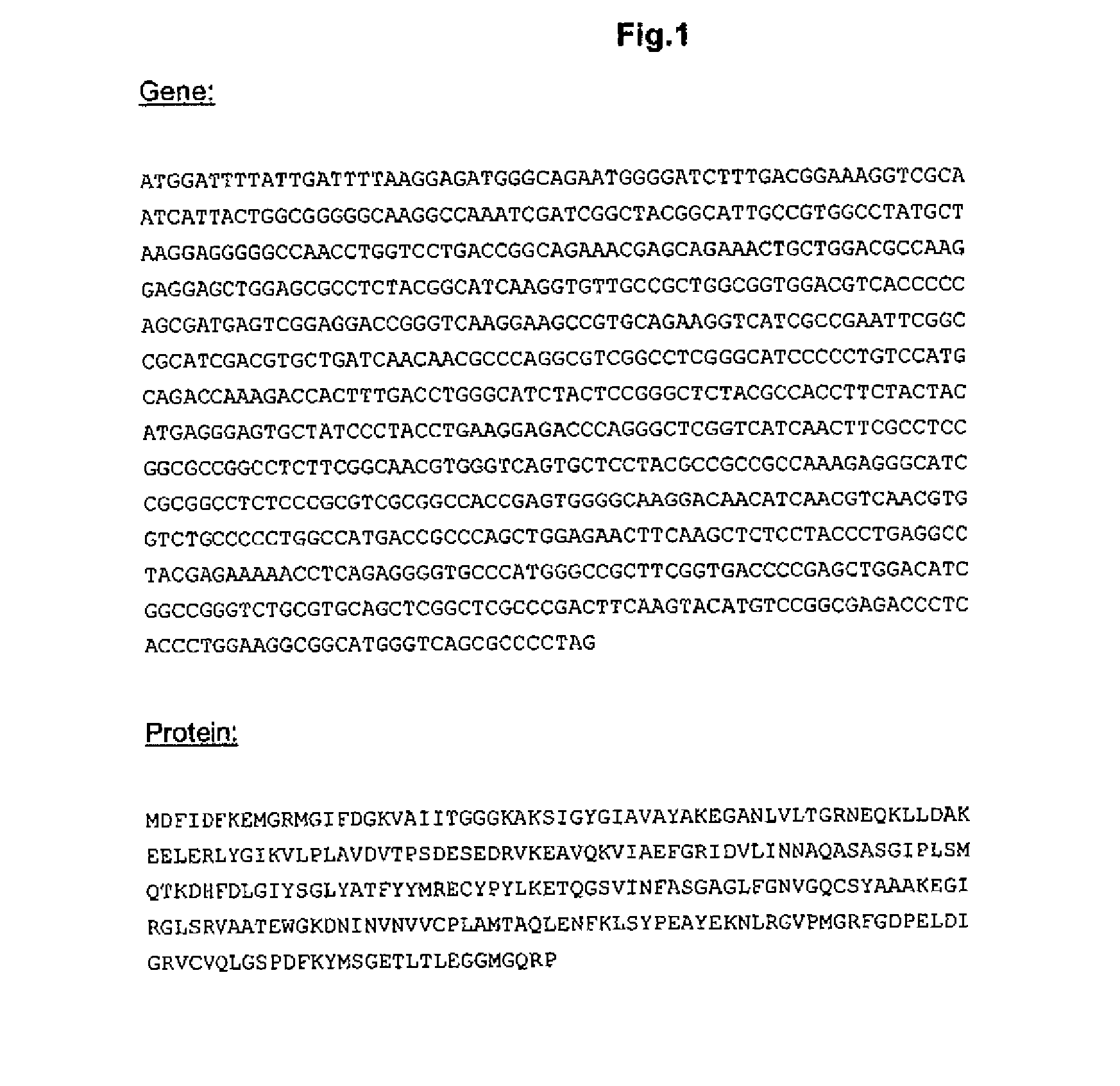 Novel 12 alpha-hydroxysteroid dehydrogenases, production and use thereof