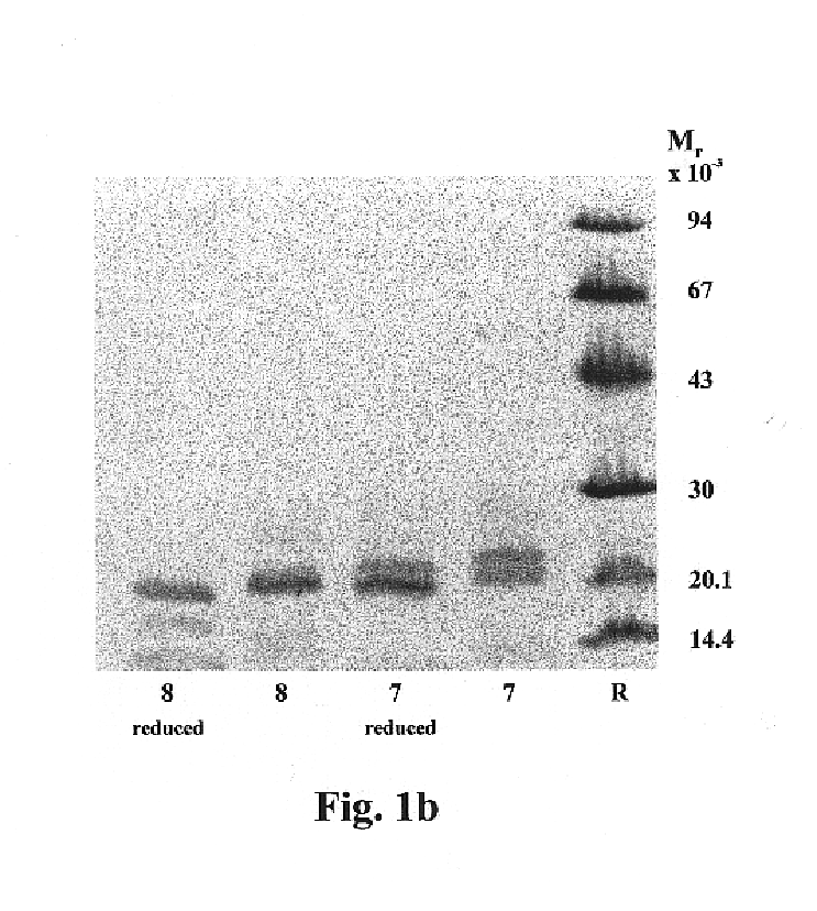 Diagnostic method for detection of molecular forms of eosinophilic cationic protein (ISO-ECPS)