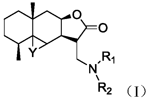 Inulin derivatives and their salts