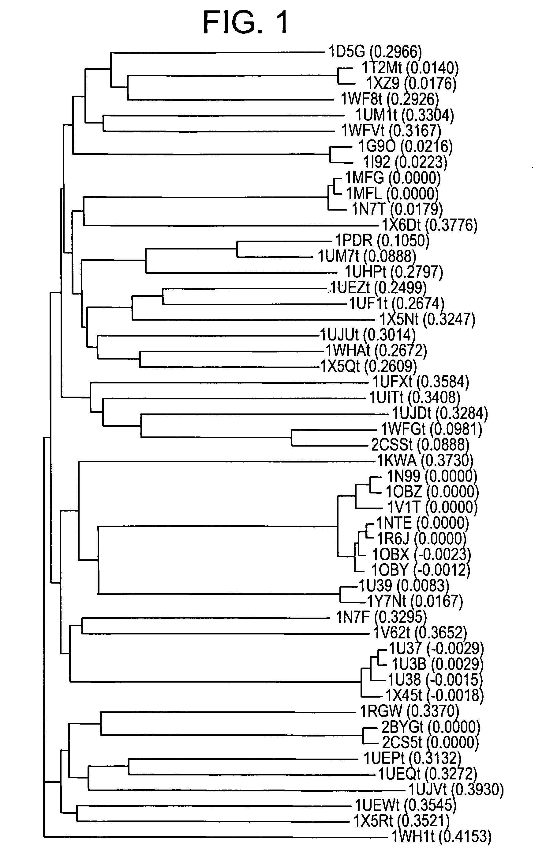 Compositions and methods for producing bioactive fusion proteins
