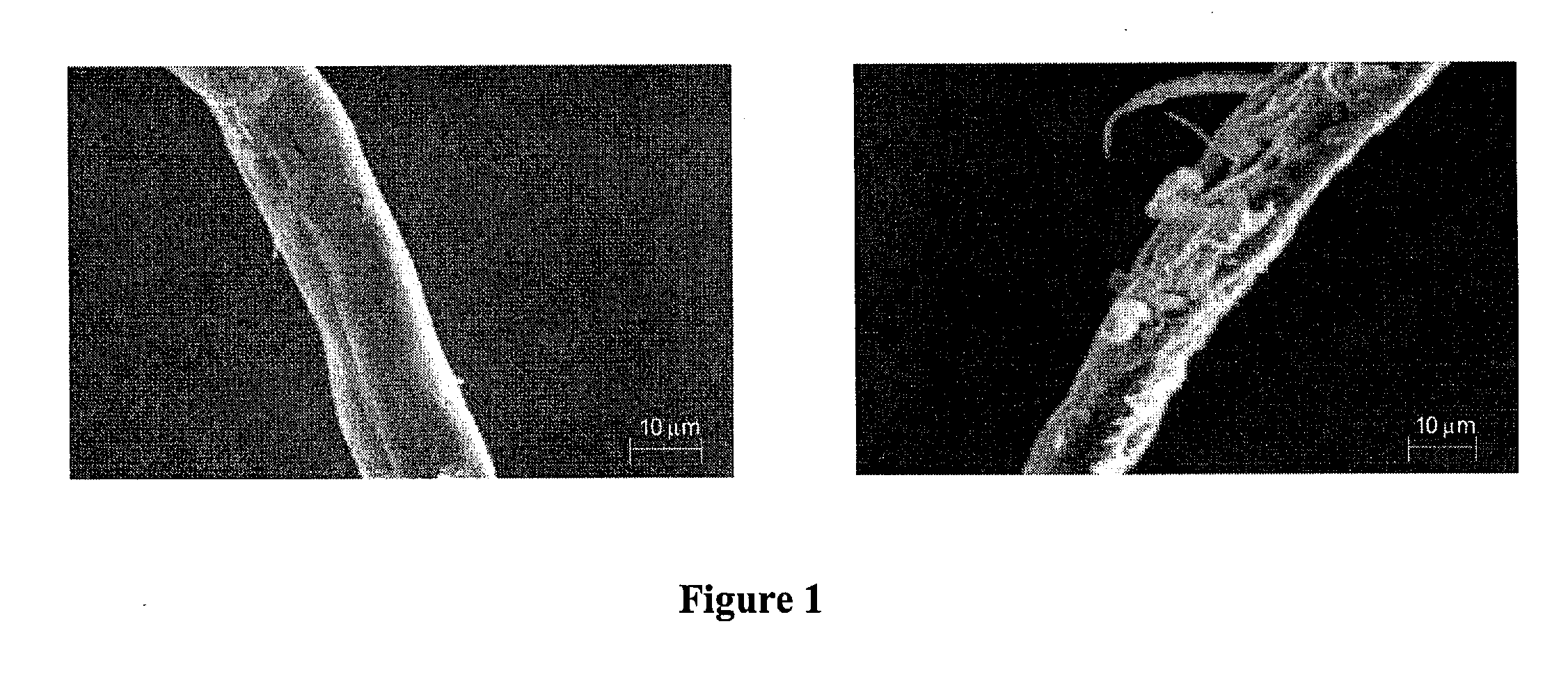 High modulus polymer composites and methods of making the same