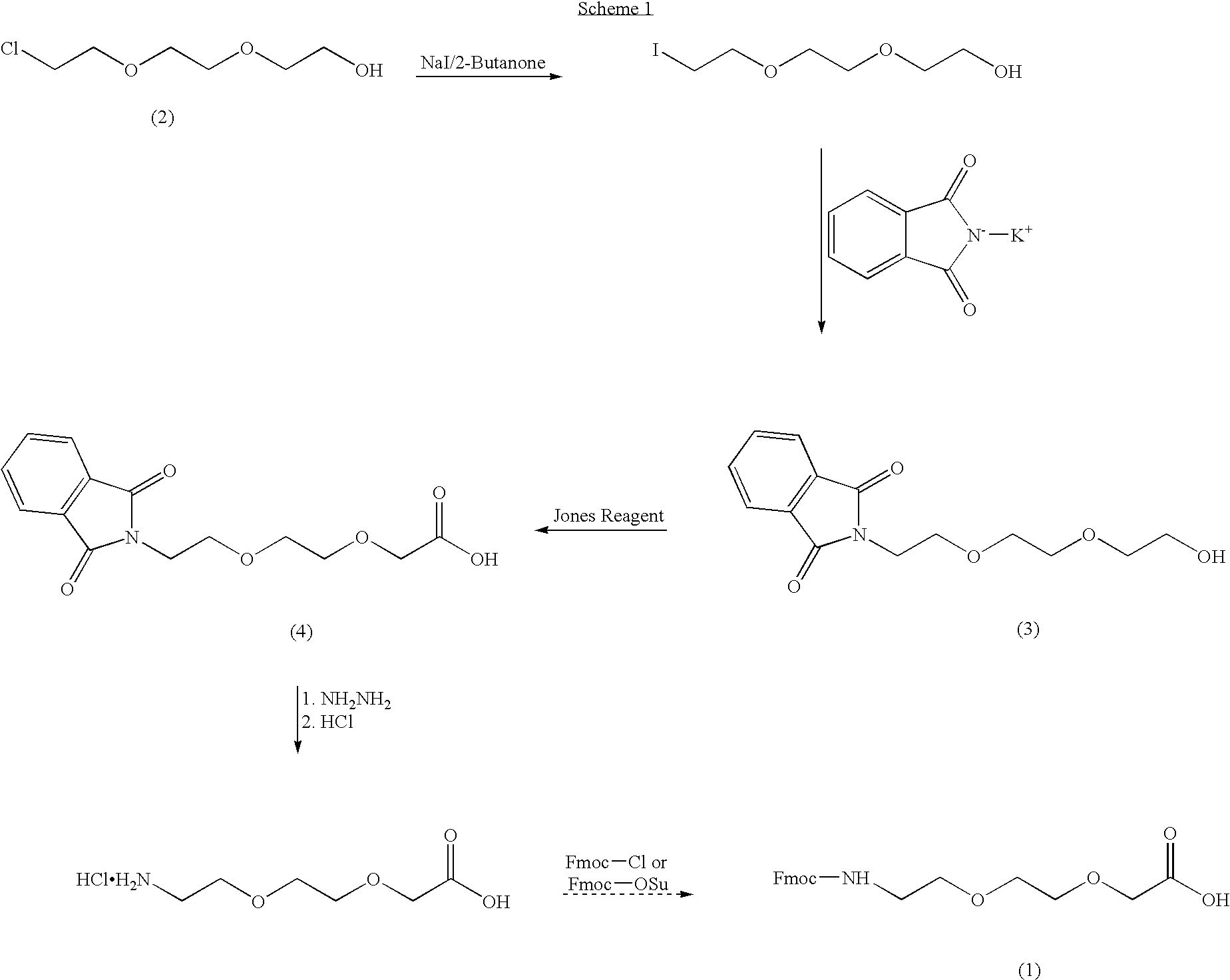 Methods of synthesizing and using derivatives of [2-(2-aminoethoxy)ethoxy] acetic acid