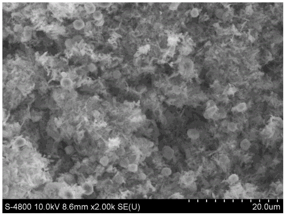 A kind of molecular sieve catalyst applied in seaweed liquefaction reaction and preparation method thereof