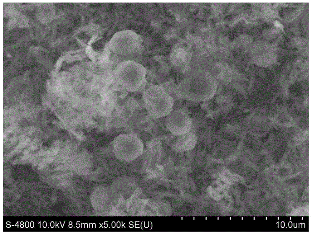 A kind of molecular sieve catalyst applied in seaweed liquefaction reaction and preparation method thereof