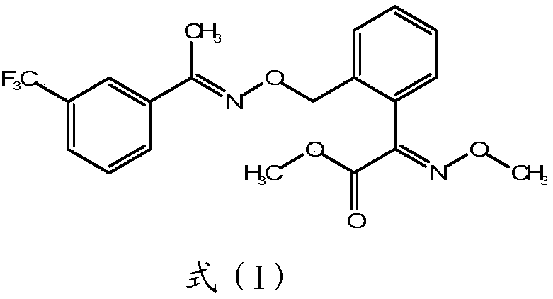 A novel process for the preparation of trifloxystrobin