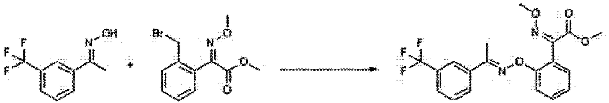 A novel process for the preparation of trifloxystrobin