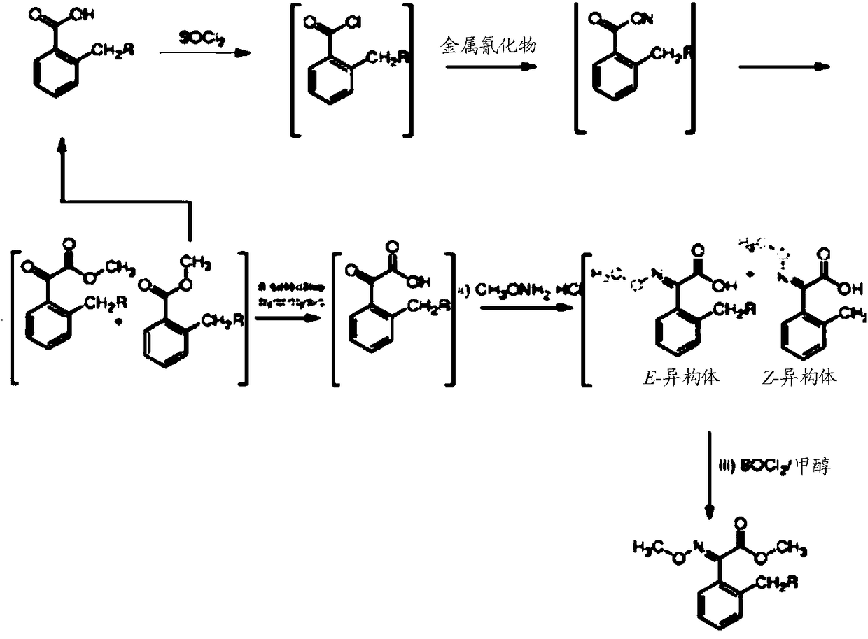 A novel process for the preparation of trifloxystrobin