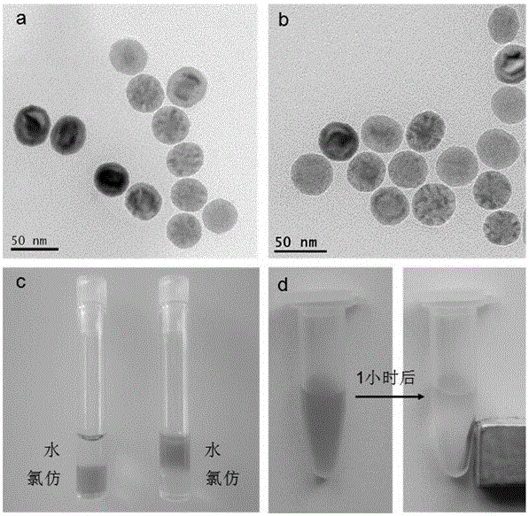 A method for phase inversion of hydrophobic nanoparticles using DNA nanostructures