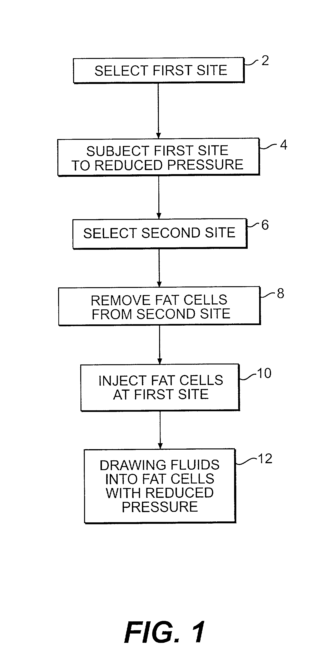 Method and apparatus for graft enhancement and skin therapy
