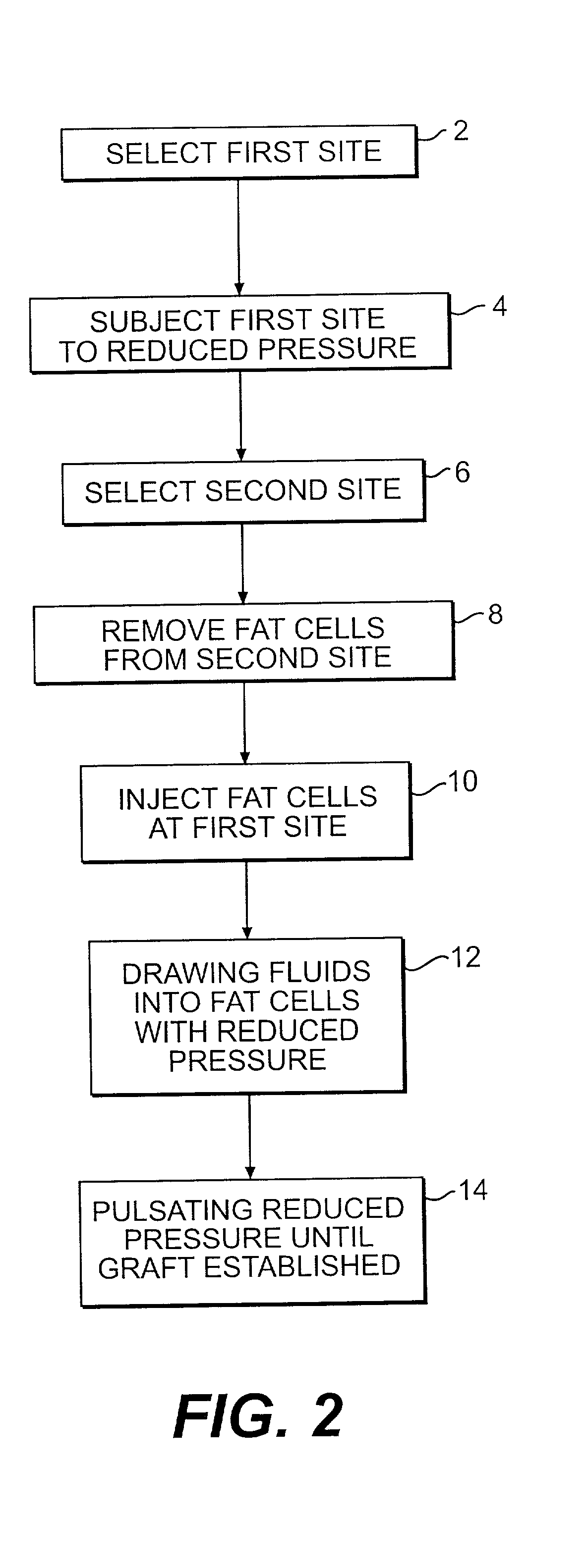 Method and apparatus for graft enhancement and skin therapy