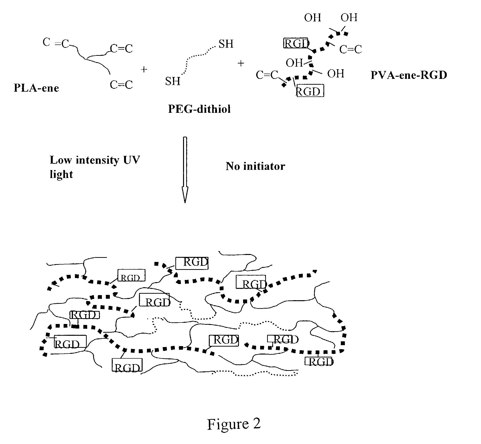Degradable thiol-ene polymers