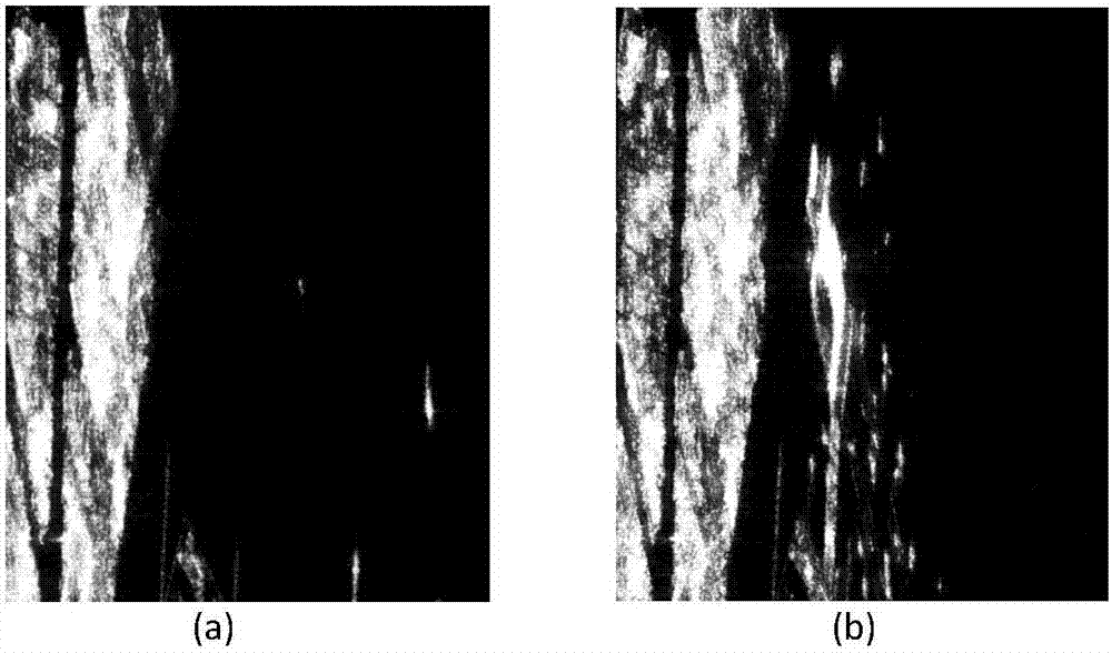 Polarimetric SAR (synthetic aperture radar) change detection method based on scattering features and low-rank sparse model