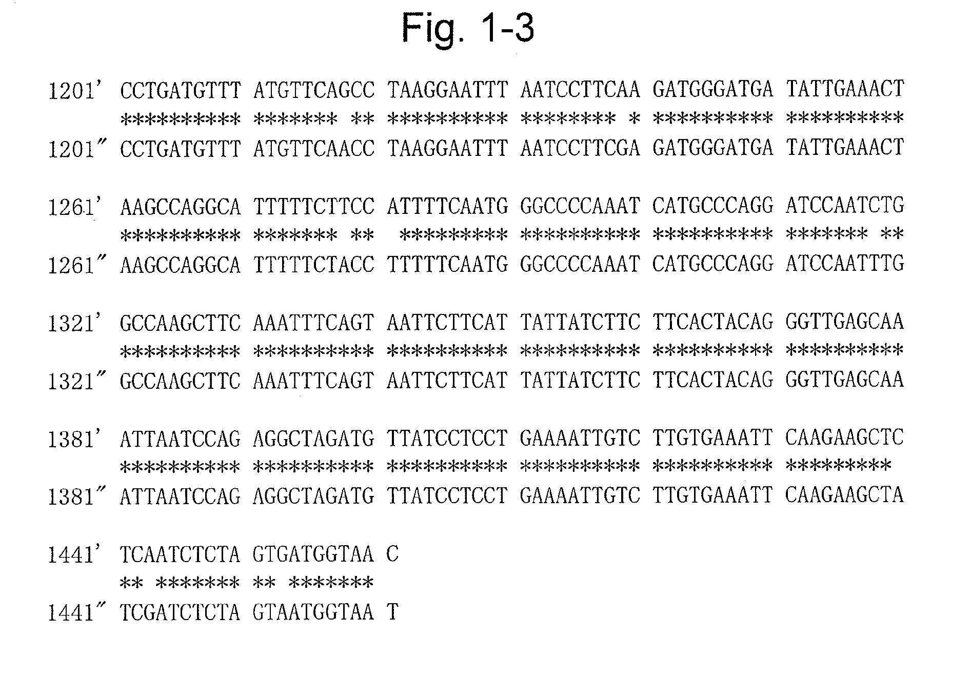 Protein having glycoalkaloid biosynthetic enzyme activity and gene encoding the same