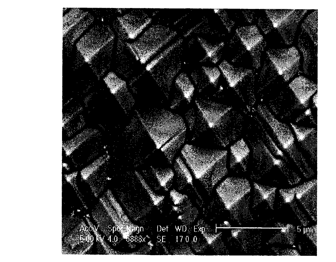 Method for preparing monocrystal silicon textured surface