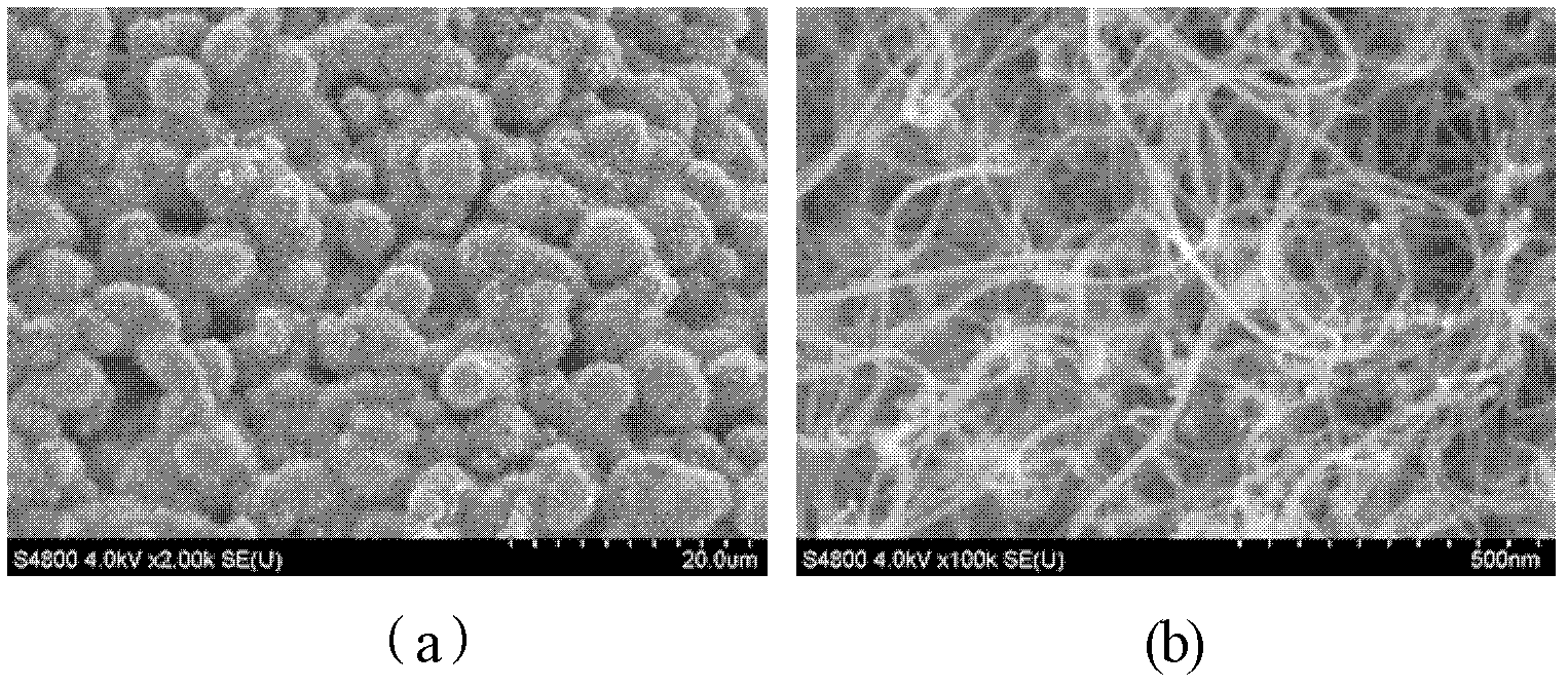 Carbon nanotube/silicon carbide foam catalytic composite material and preparation method thereof