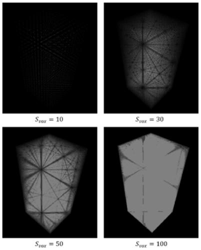 Three-dimensional hair parameterization model method based on body vector field sparse localization decomposition