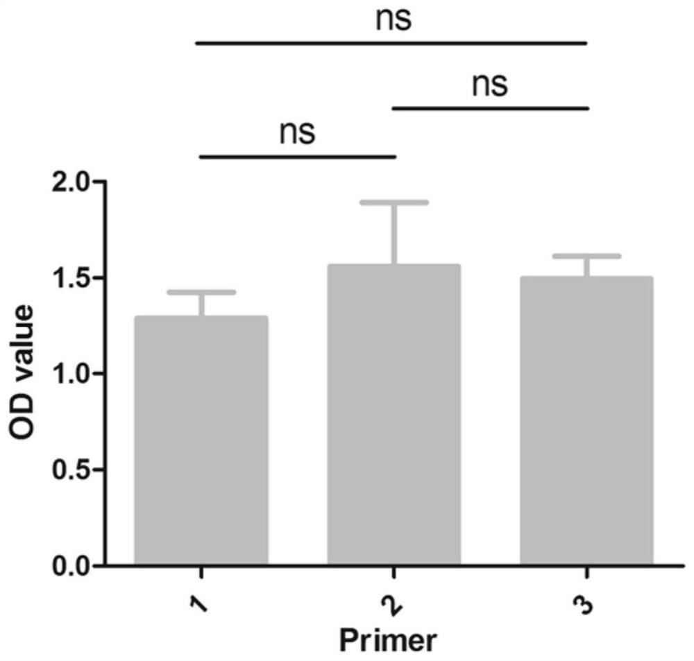 A mass spectrometry method and application for quantifying nucleic acids based on DNA-polypeptide probe technology