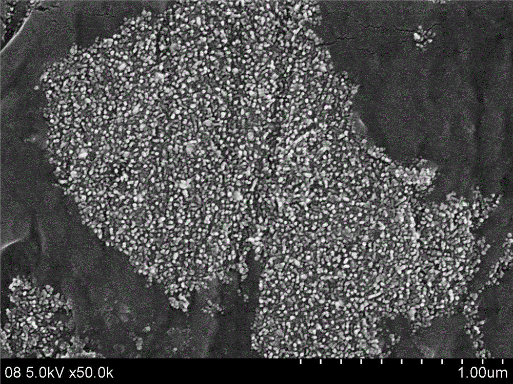 Rapid preparation method of totally-biodegradable composite membrane with nanometer silver on surface