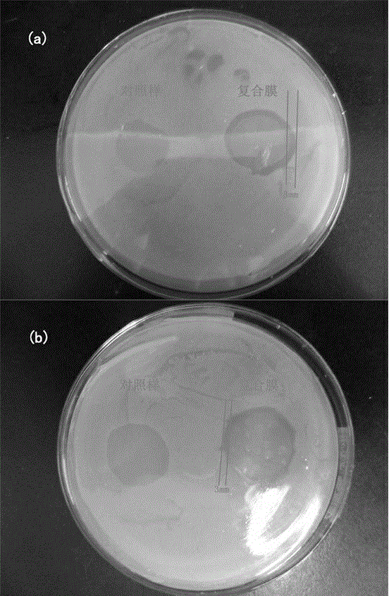 Rapid preparation method of totally-biodegradable composite membrane with nanometer silver on surface