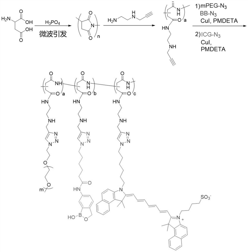 A kind of antibody conjugate containing boron ester unit polymer and its construction method