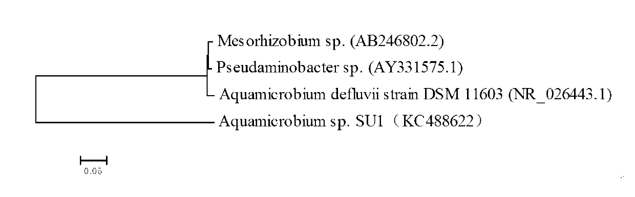 Aquamicrobium defluvii active filler and preparation method thereof
