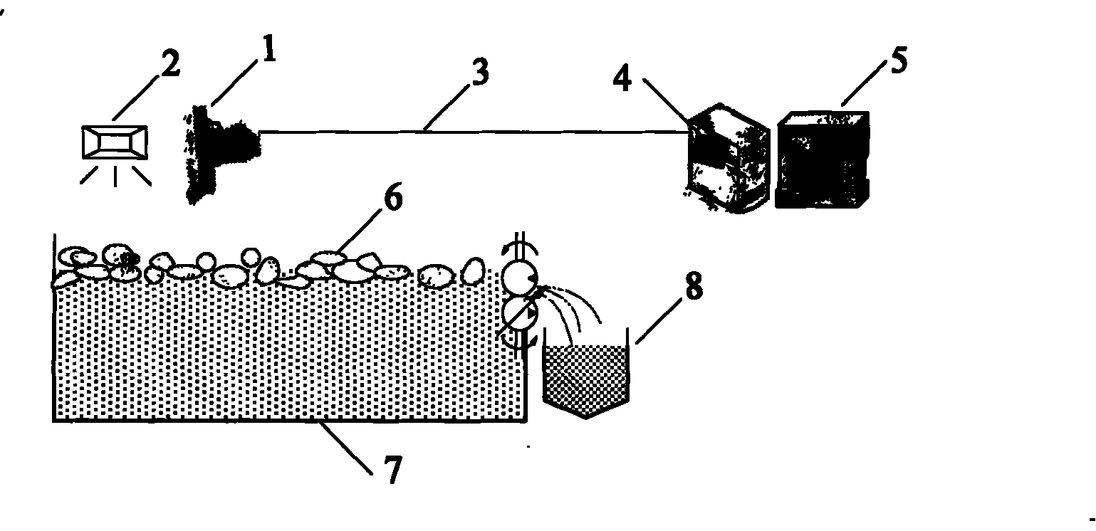 Flotation recovery rate prediction method based on image characteristic analysis