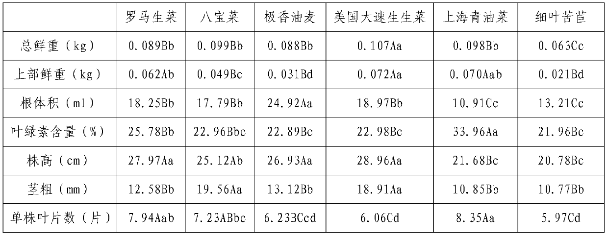 Leaf vegetable hydroponic nutrient solution and preparation method thereof