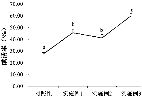 Preparation method and application of fermented type Chinese herbal medicine immunopotentiator for barbus capito