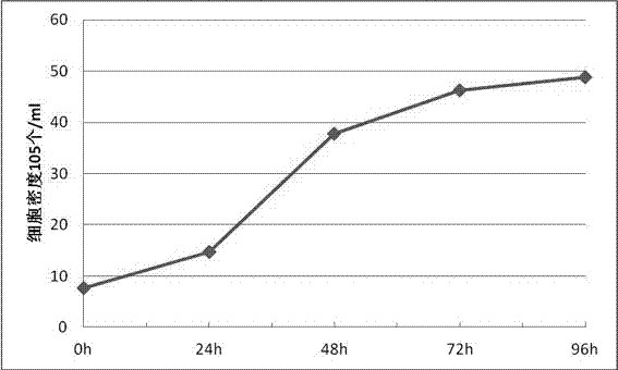 Cat kidney cell line F-81 S adaptive to full suspension cultivation, and applications thereof