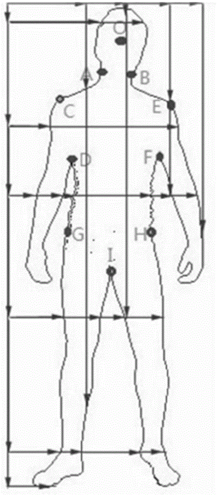 Human body assembly dividing method based on face detection and key point positioning