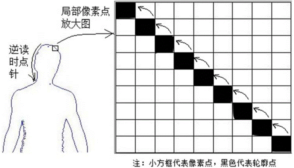 Human body assembly dividing method based on face detection and key point positioning