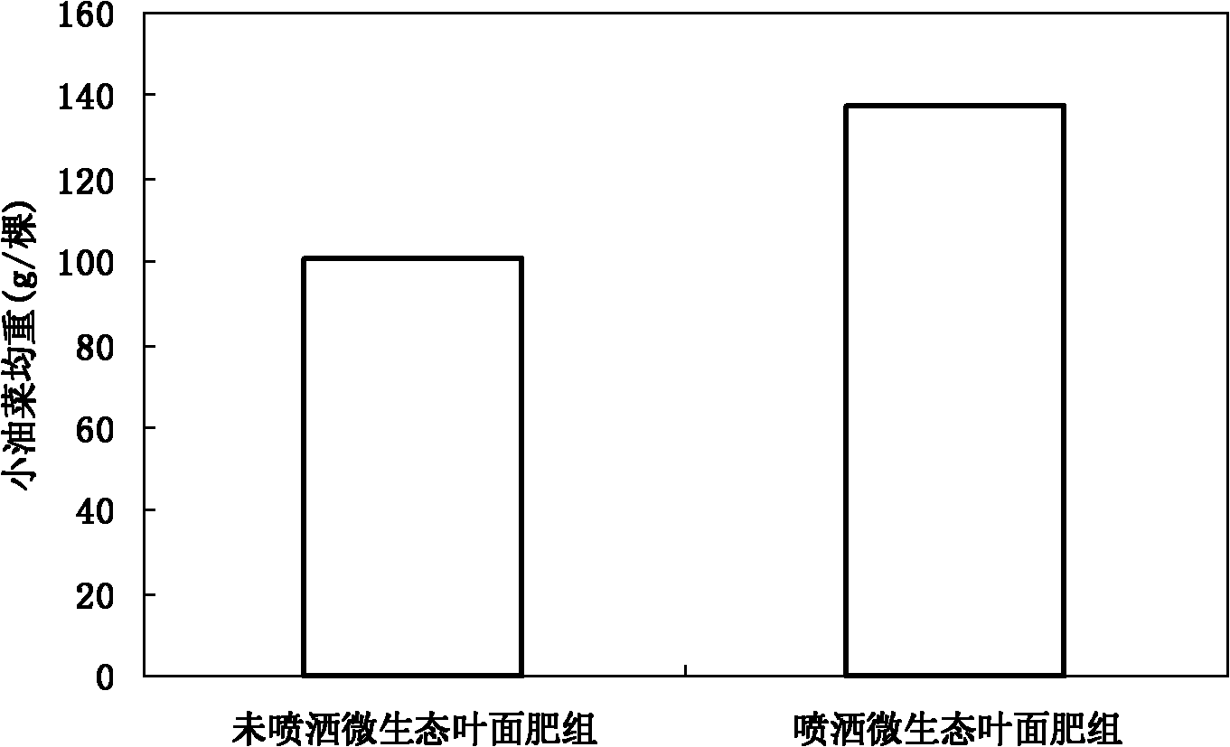 Preparation method of microbial-ecological foliar fertilizer promoting plant growth and controlling pest